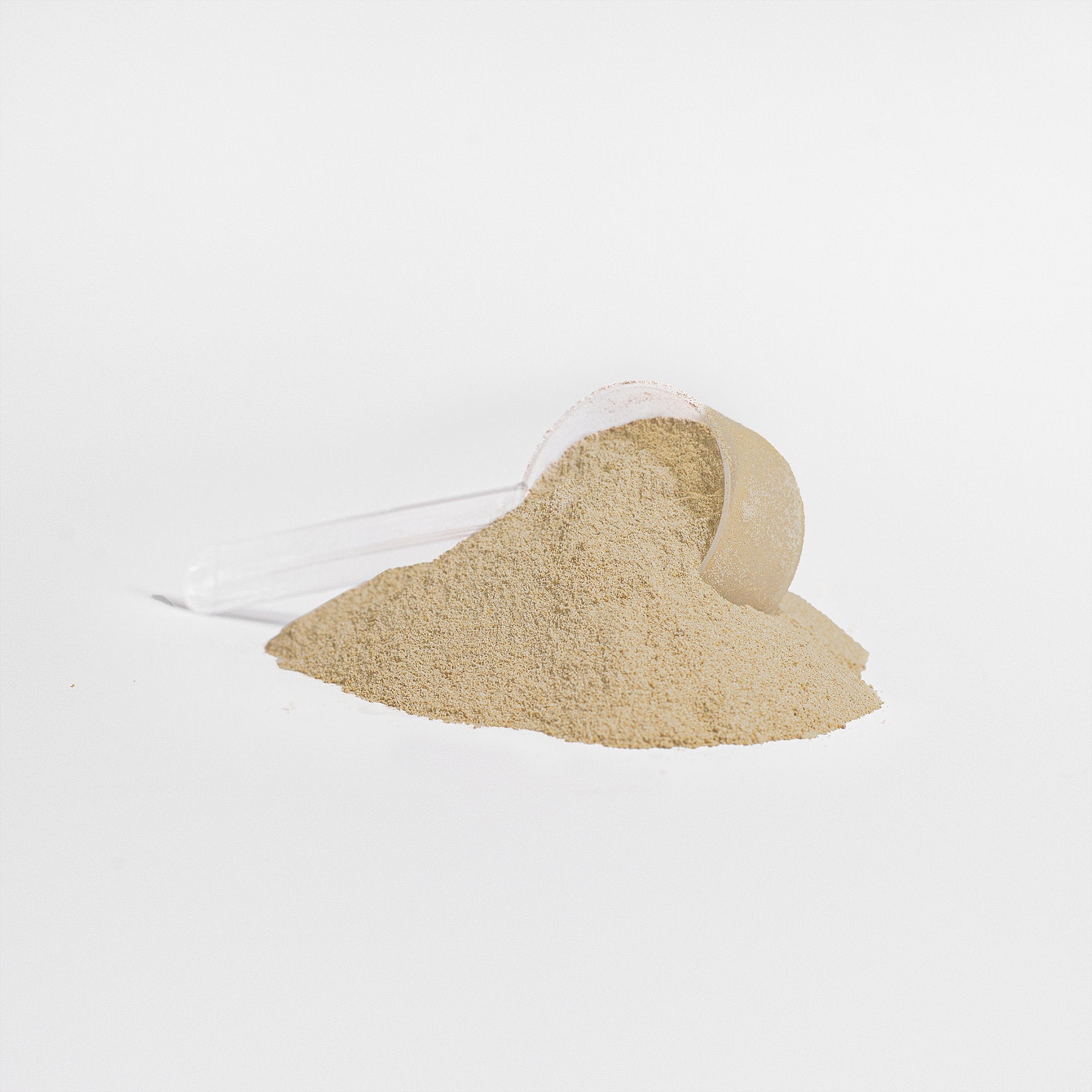 Whey Protein Isolate (Vanilla)